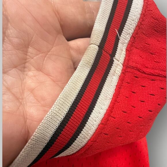 NBA Jersey Chicago Bulls Scottie Pippen 33 sz L - Picture 8 of 14